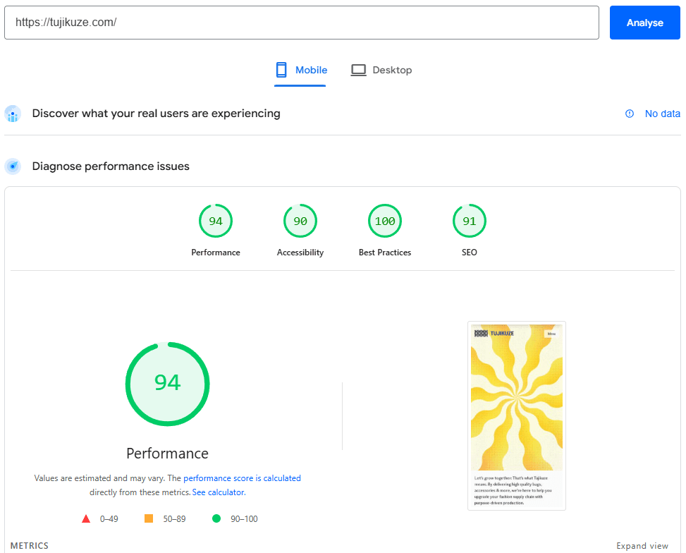 Google PageSpeed Insights – Mobile Score From Wimbeetech website